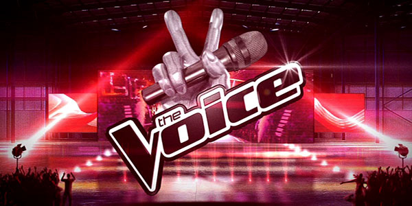 Spinning Arseholes: The Voice UK, Episode 1