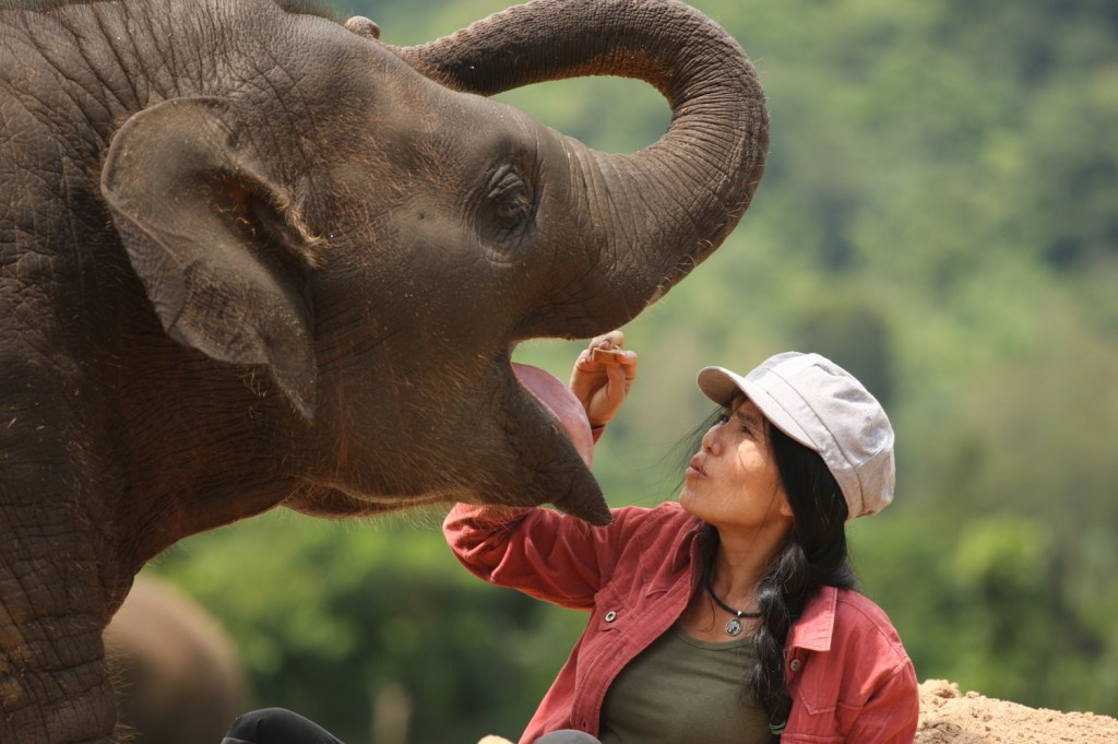 ‘Their Life Has So Much Suffering’: Meet Thailand’s Elephant Whisperer