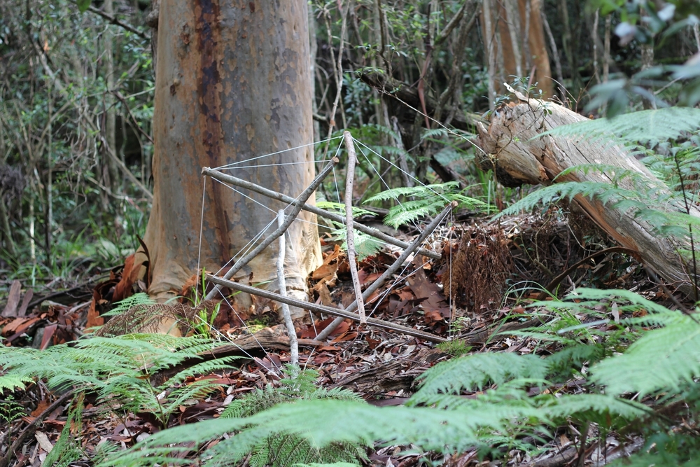 Des sculptures pour évoquer la fragilité d’une forêt tropicale