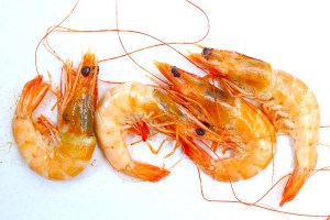 Classic Pickled Shrimp Recipe