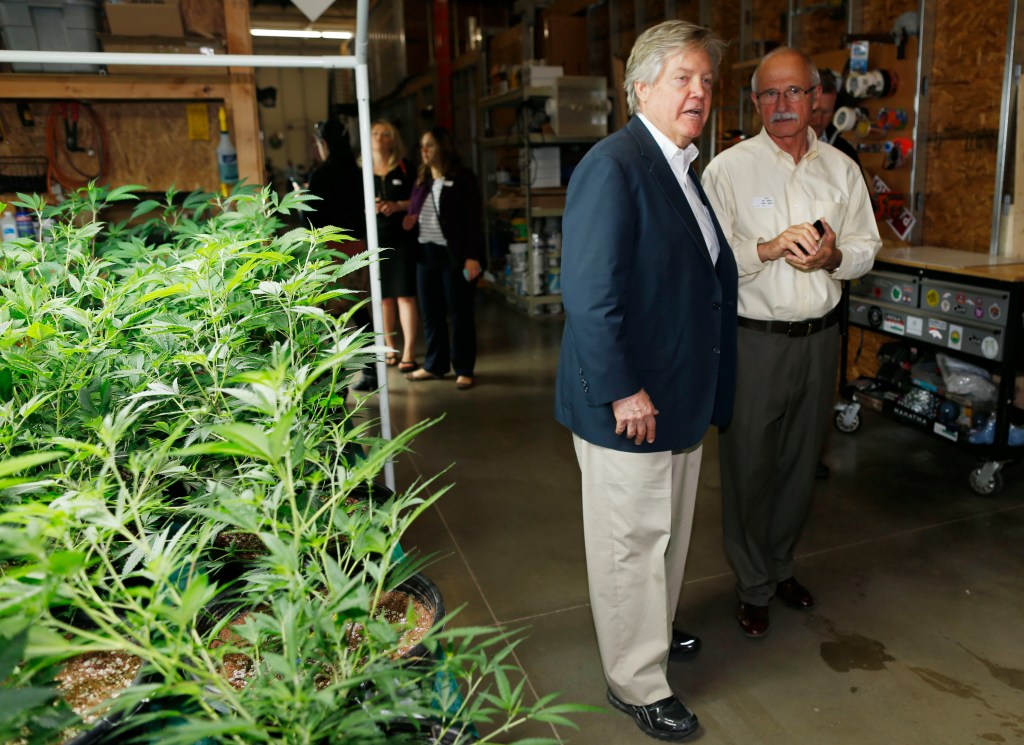 Meet the Nevada Politician with a Pot Strain Named After Him