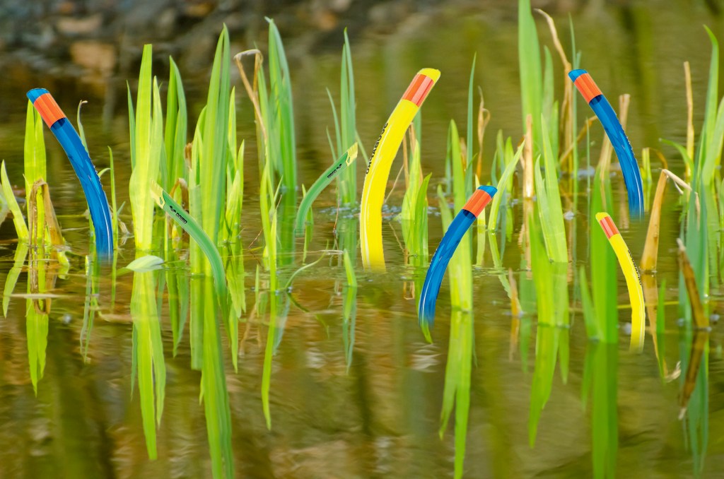 Planten gebruiken hun SNORKEL-genen wanneer ze verdrinken