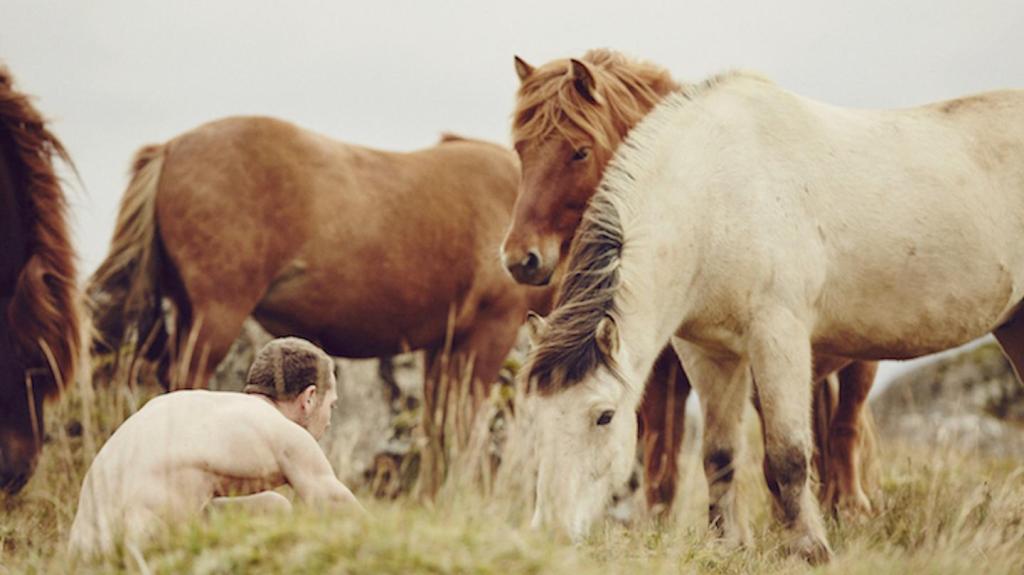 [NSFW] El hombre que corre desnudo con caballos en Islandia