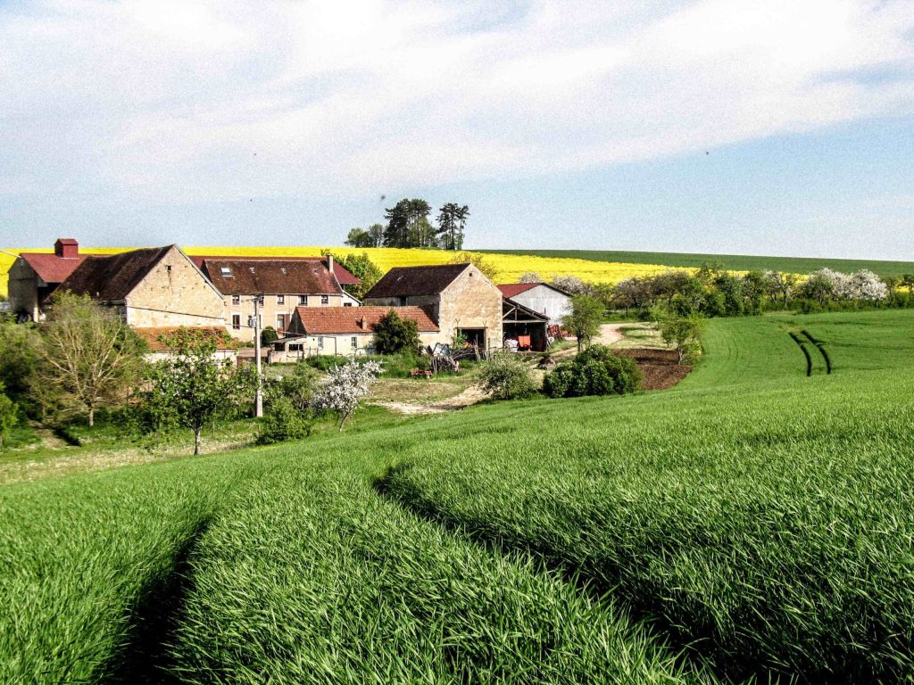 Dans la tête de Julien, 27 ans, agriculteur vivant avec moins d’un SMIC par mois