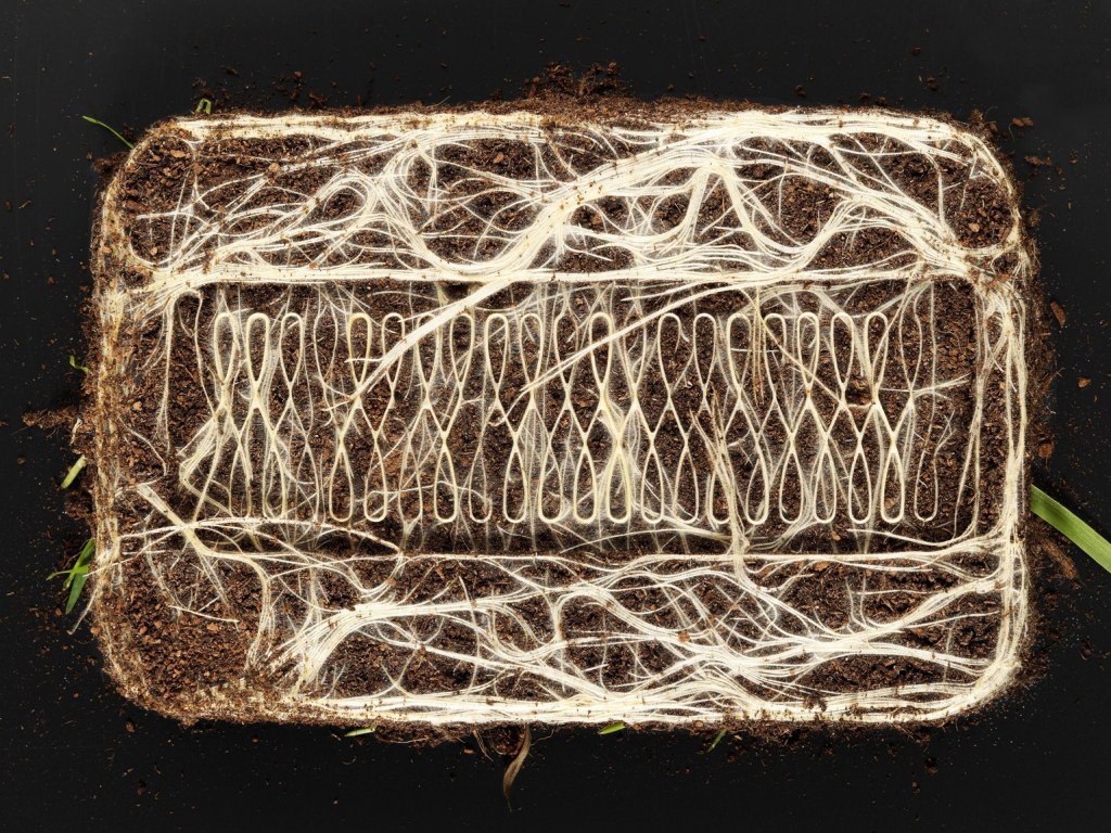 Plant Artist Grows Roots into Awesome Patterns