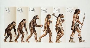 evolutie