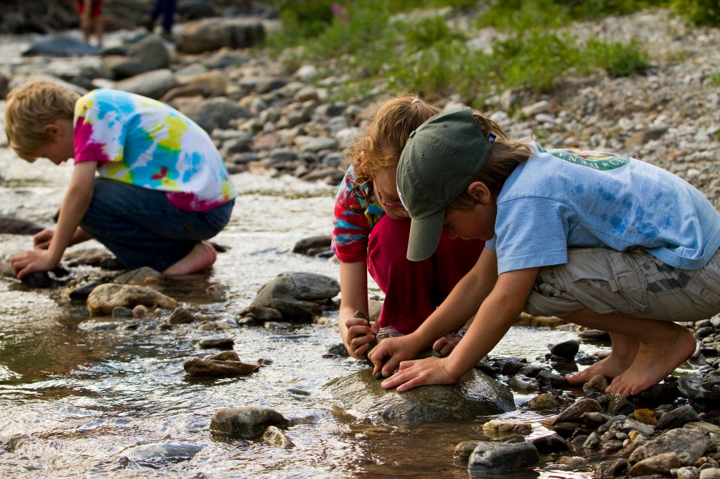 Florida Bills Would Let Citizens Remove Textbooks That Mention Climate Change and Evolution