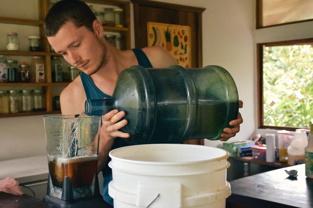 Cómo hacer vino medicinal en medio de la selva