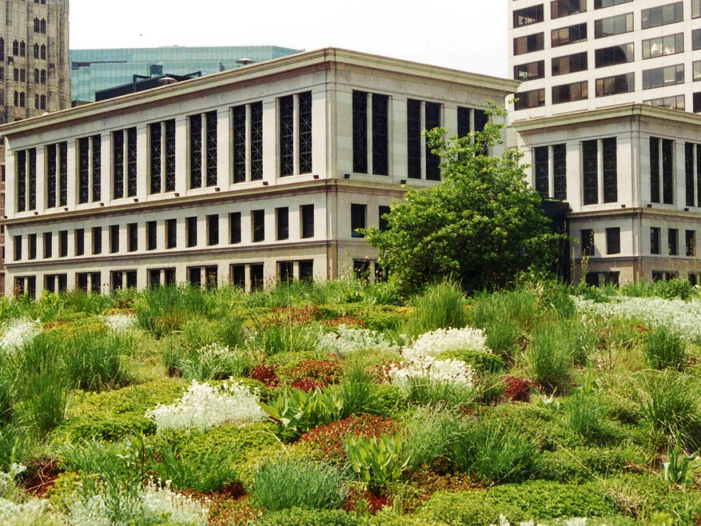 A Deadly Heatwave Turned Chicago Into the Country’s Green Roof Capital