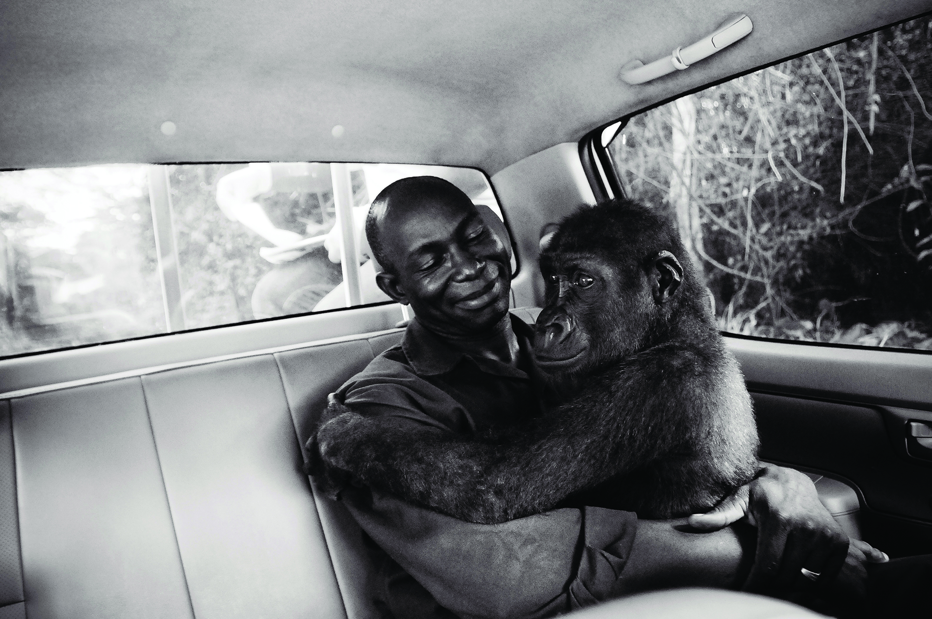 maltrato animal fotografías jo-anne mcarthur denuncia derechos de los animales igualdad animal we animals