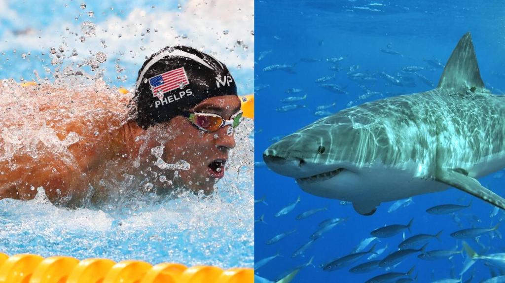 Michael Phelps to Race a Great White for Shark Week