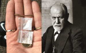 freud cocaine