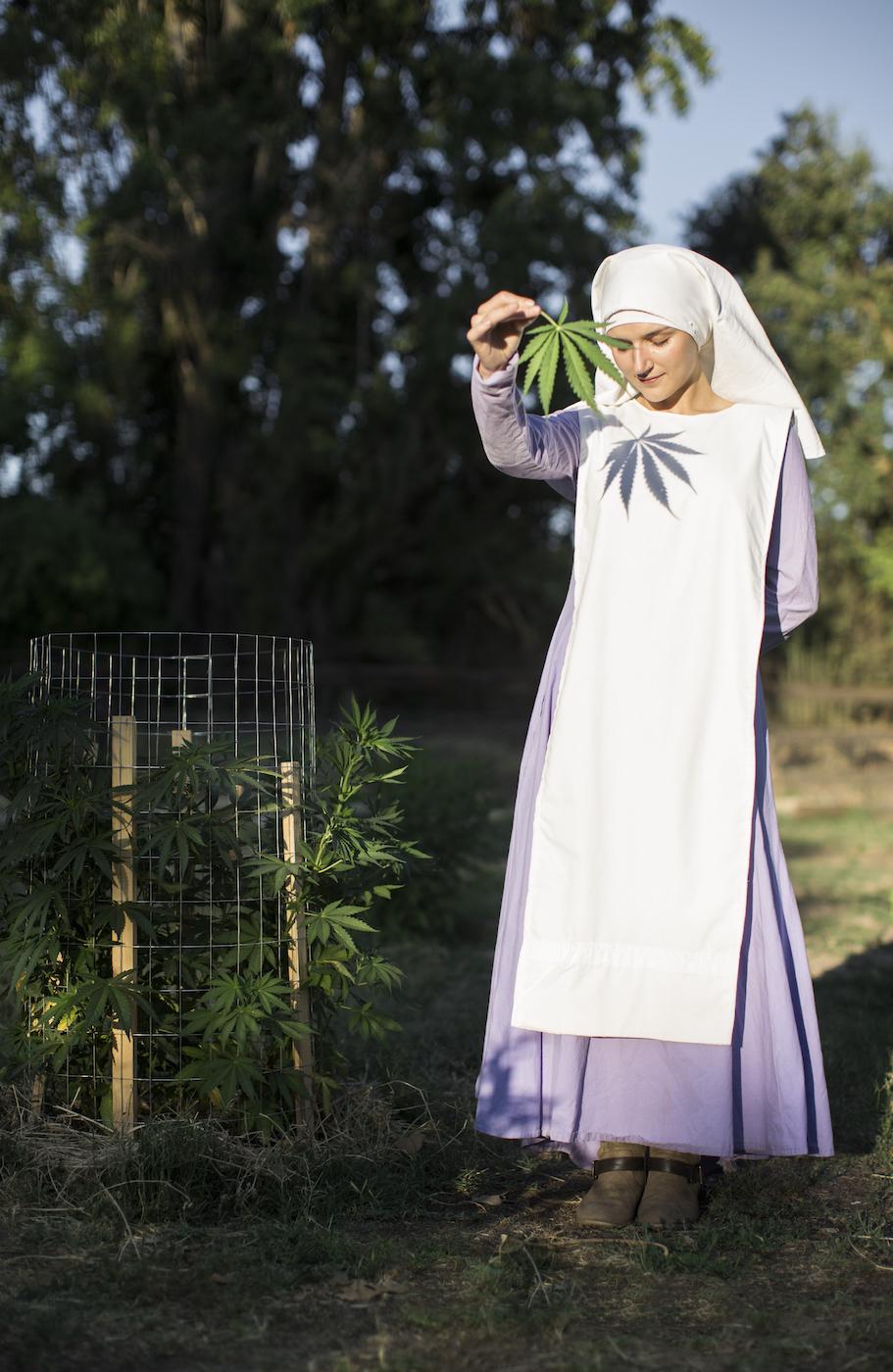 monjas marihuana porros california estados unidos cannabis