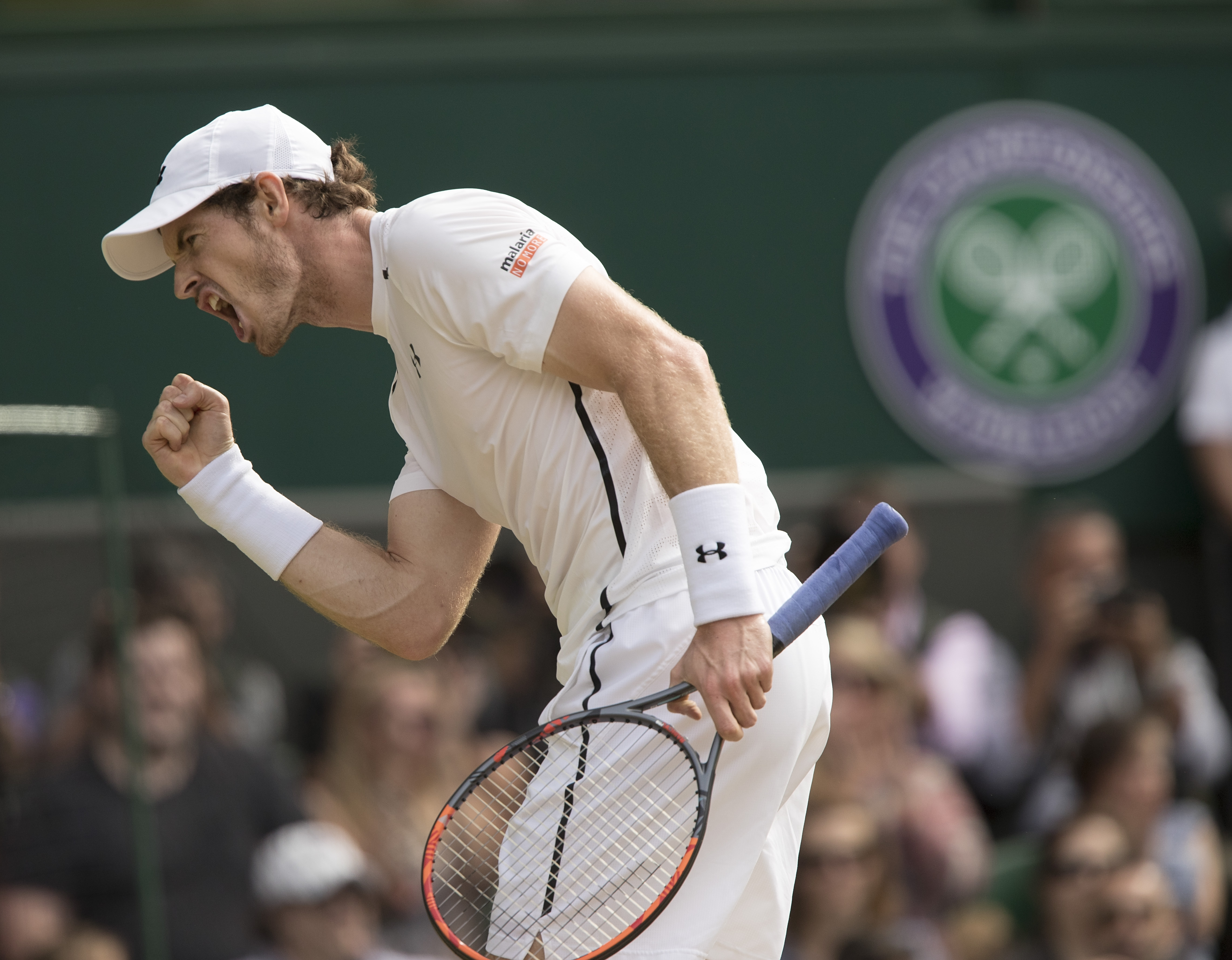 Andy Murray