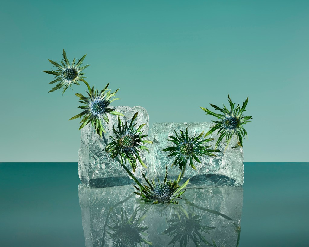 Frozen Flower Arrangements Are Insta-Cool Summer Creations