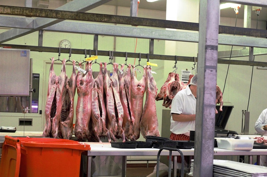 Haben Tiere eine Seele? Wir haben Angestellte im Schlachthaus gefragt