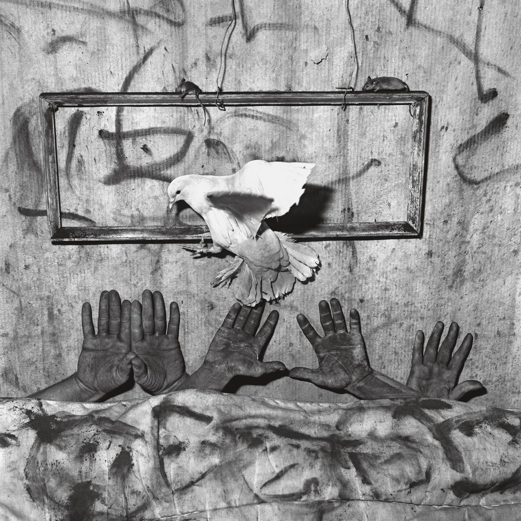 Roger Ballen cinco manos