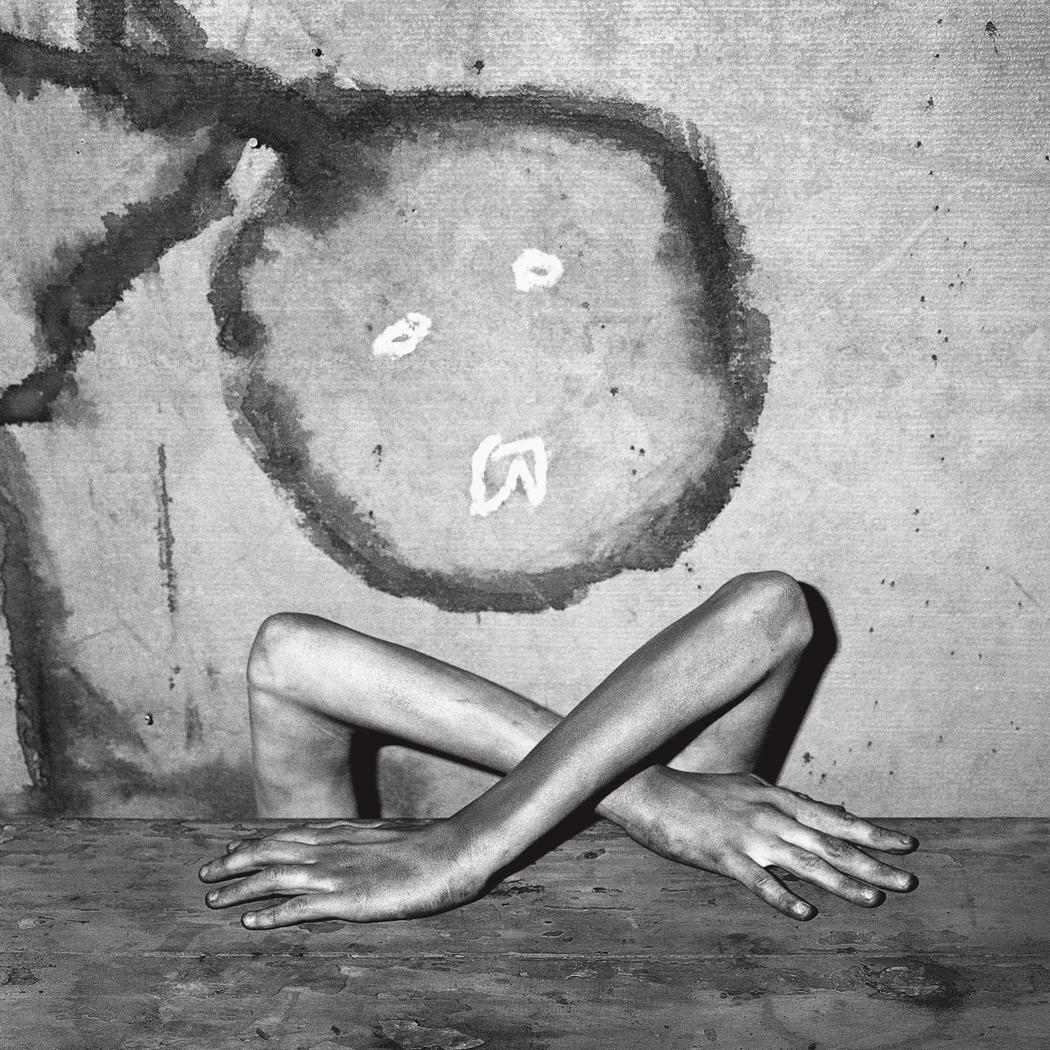 Roger Ballen mimetismo