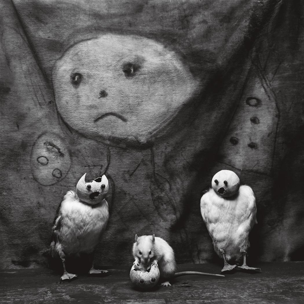 Roger Ballen devorar