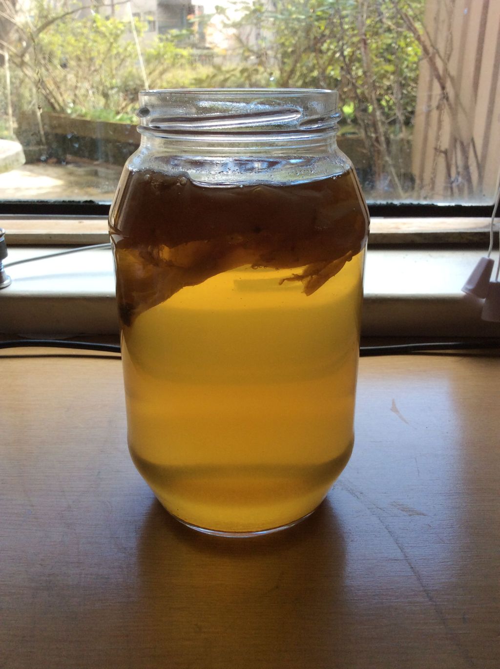 Kombucha Isn’t Making You Any Healthier