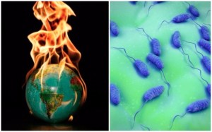 a globe on fire and bacteria under the microscope