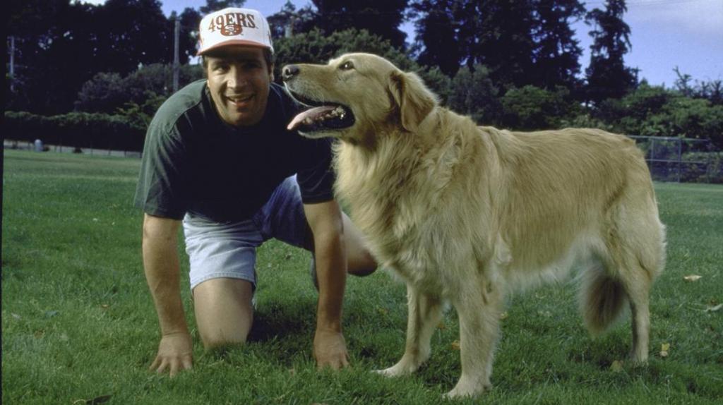 Petualanganku Mencari Makam Anjing Pemeran Utama Film ‘Air Bud’