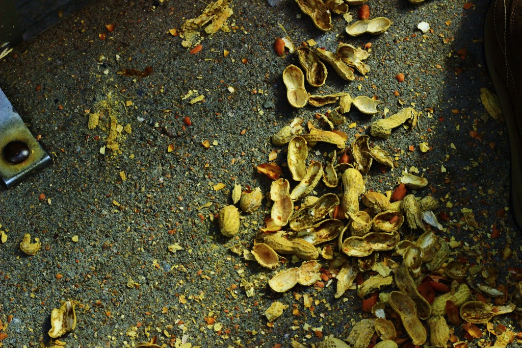 Woman Sues Restaurant After Falling on Peanut Shells Scattered All Over Floor