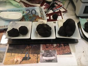 Trieuse de truffes