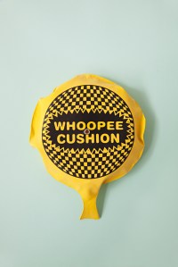 photo of a whoopee cushion