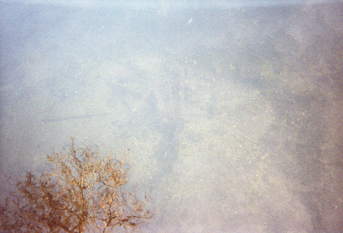 Ein Baum spiegelt sich im flachen Wasser, fotografiert vom Obdachlosen Lukasz aus Polen