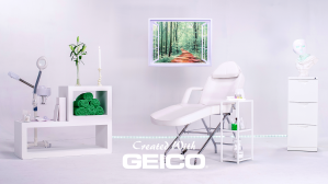 Created With Geico