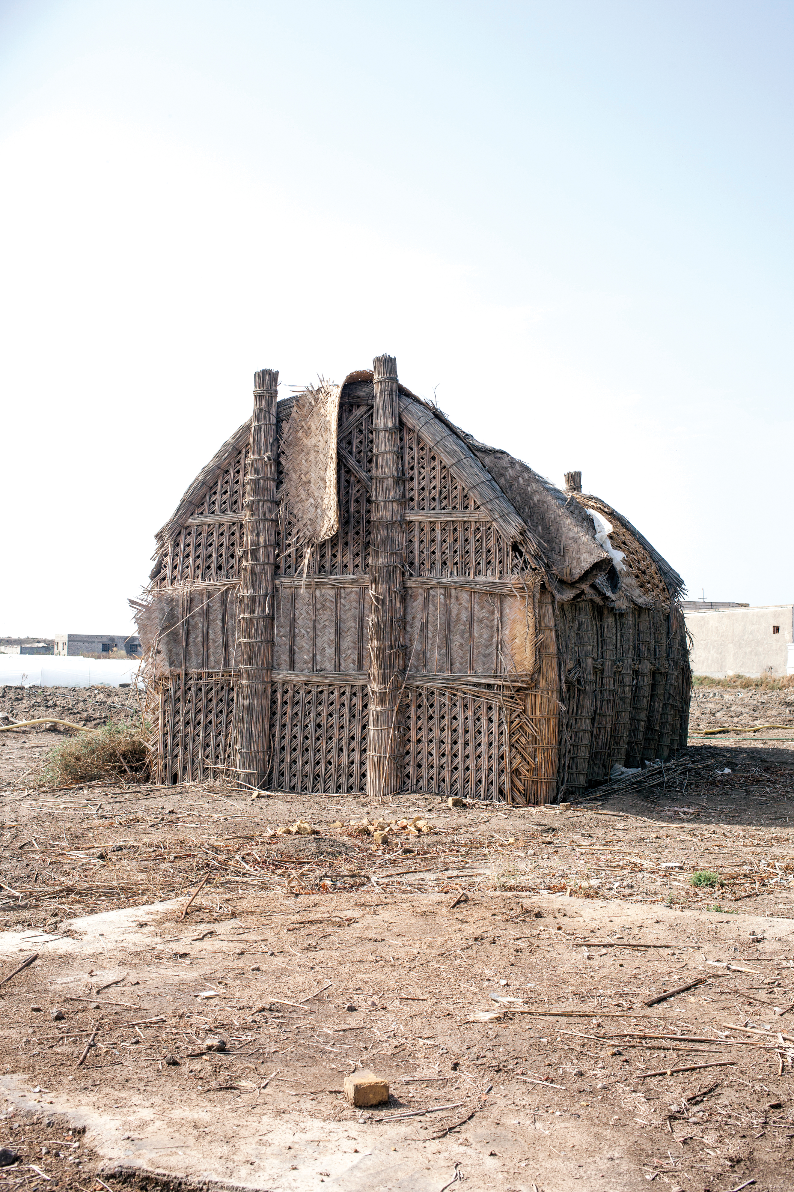 Ein Schilfhaus im irakischen Marschland