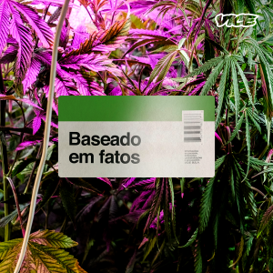 baseado em fatos maconha