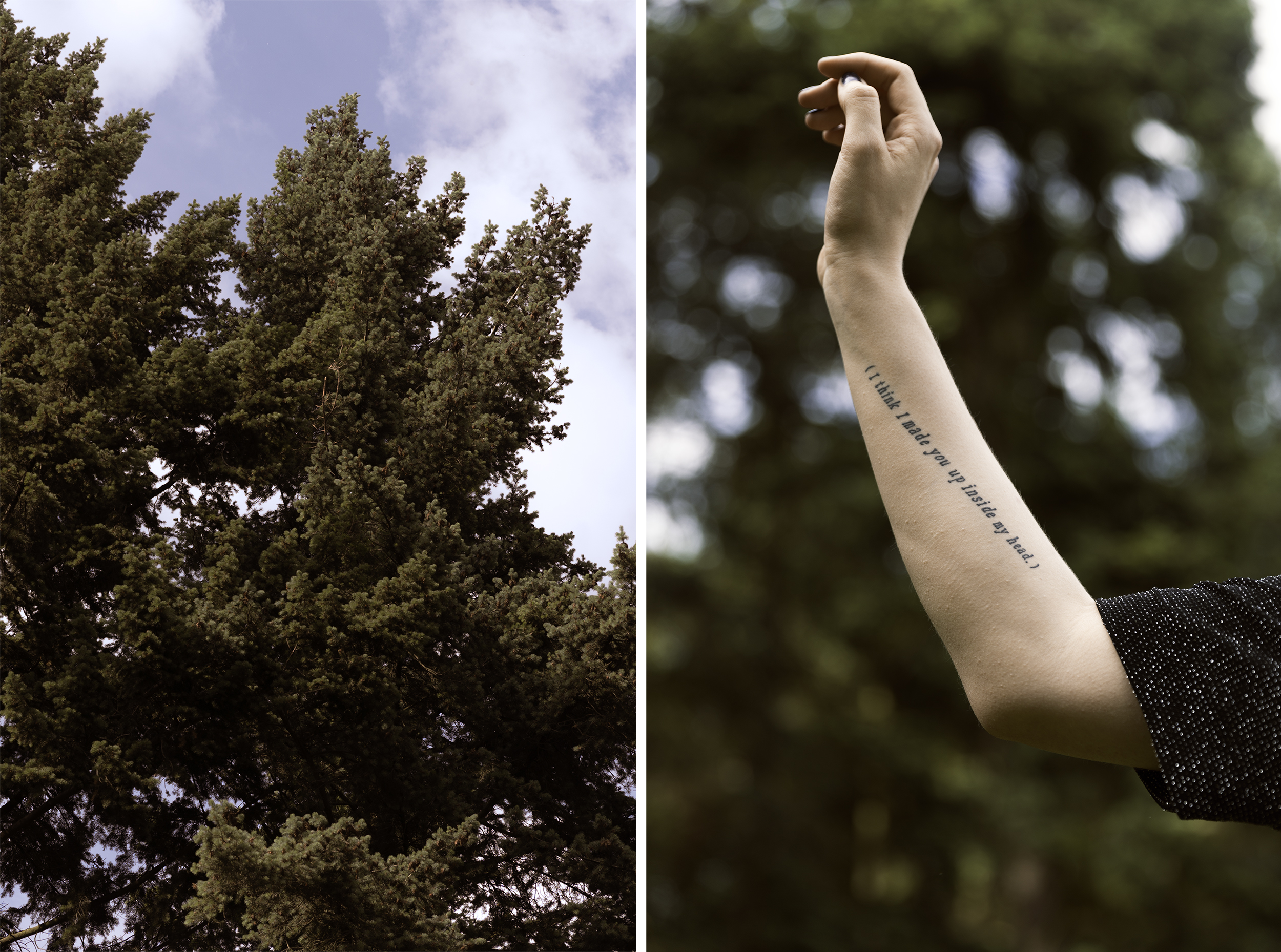 10 fragen an eine depressive wald tattoo auf unterarm sylvia plath zitat