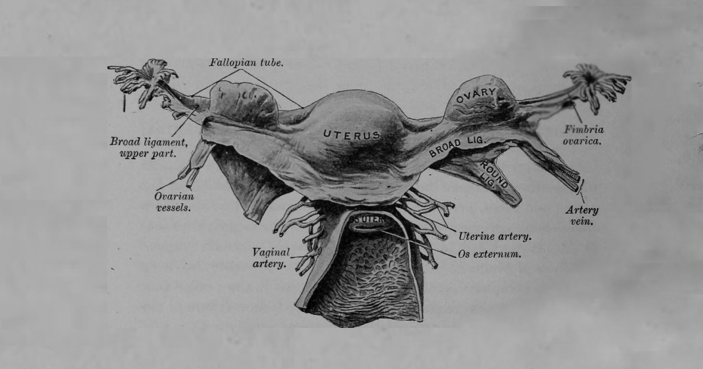 Il pap test appartiene davvero al passato?