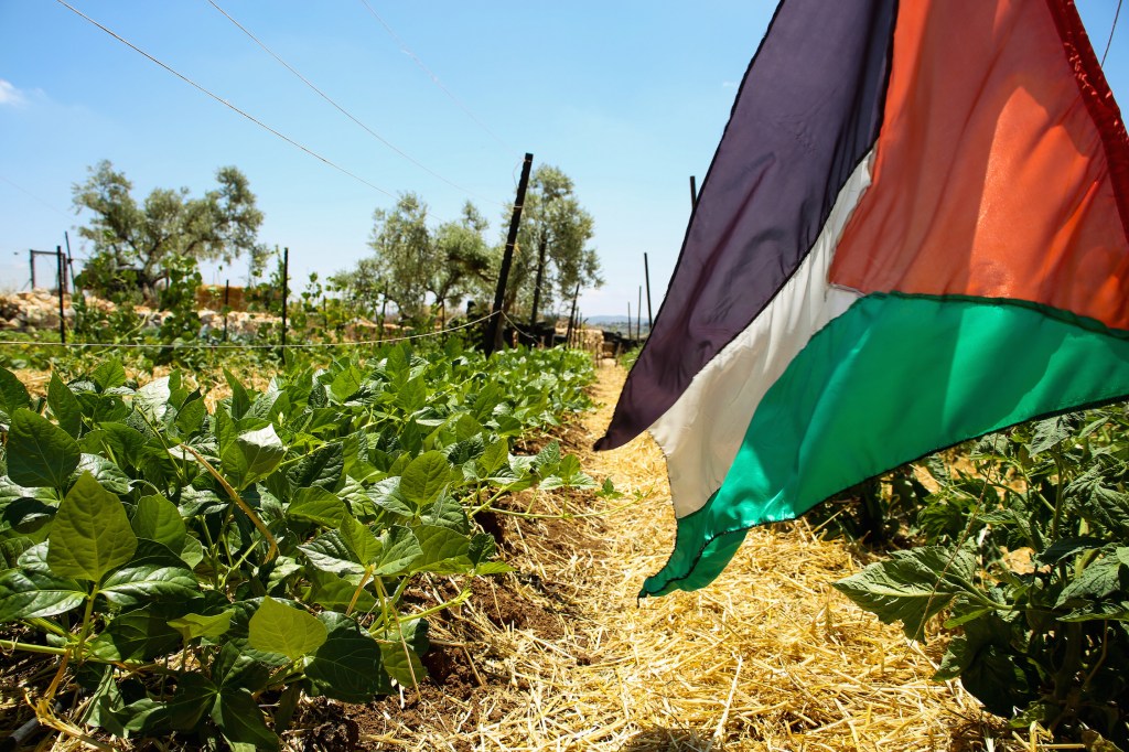 Agricoltura palestina