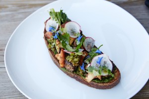 toast topped with three kinds of mushrooms, radish-top pesto, and radishes