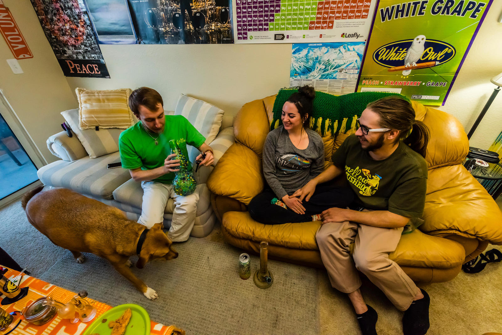 Three people on a sofa in Colorado smoking weed around their dog.