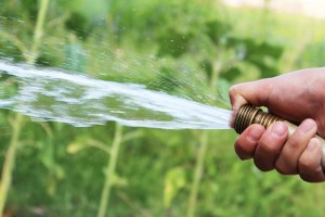 Länger können: Eine Hand hält einen spritzenden Gartenschlauch