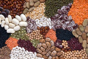 dry beans and lentils