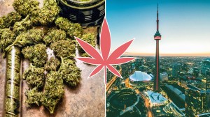 weed delivery via airbnb in ontario