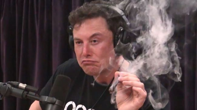 elon musk smoking