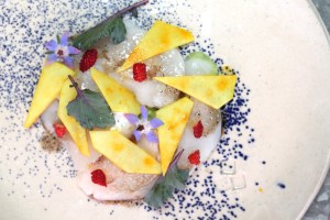 Pickled Kohlrabi and Scallop Crudo Recipe