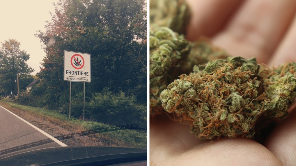 Signs Are Going Up Reminding You Not to Bring Your Weed into the United States