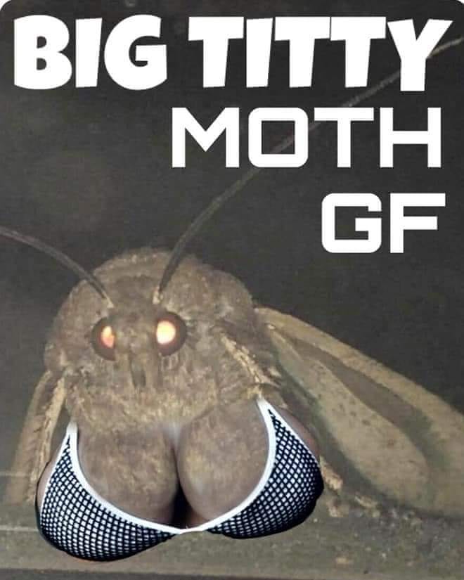 moth meme