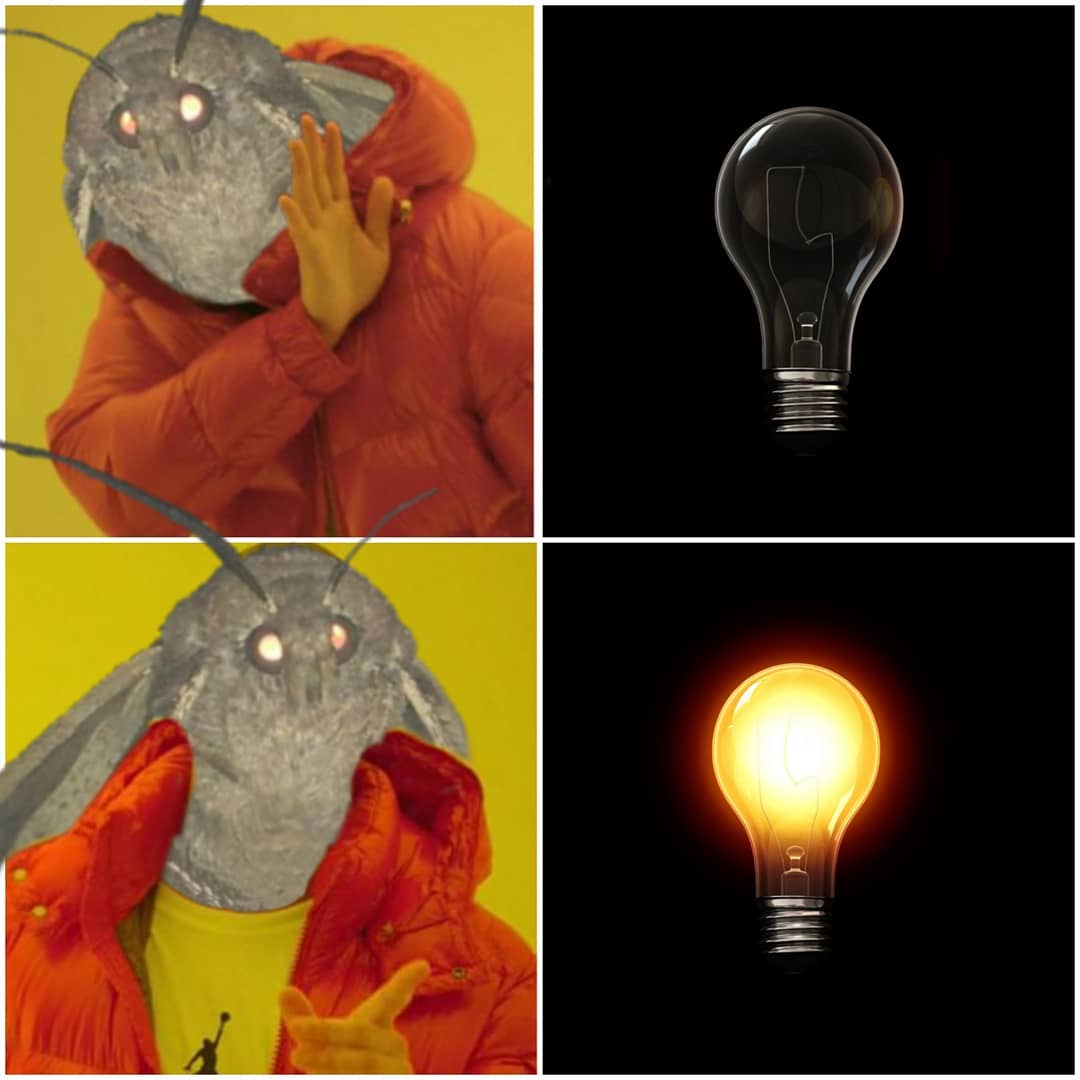 moth meme