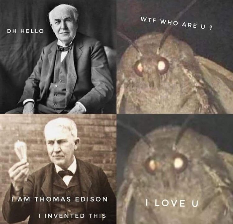 moth meme