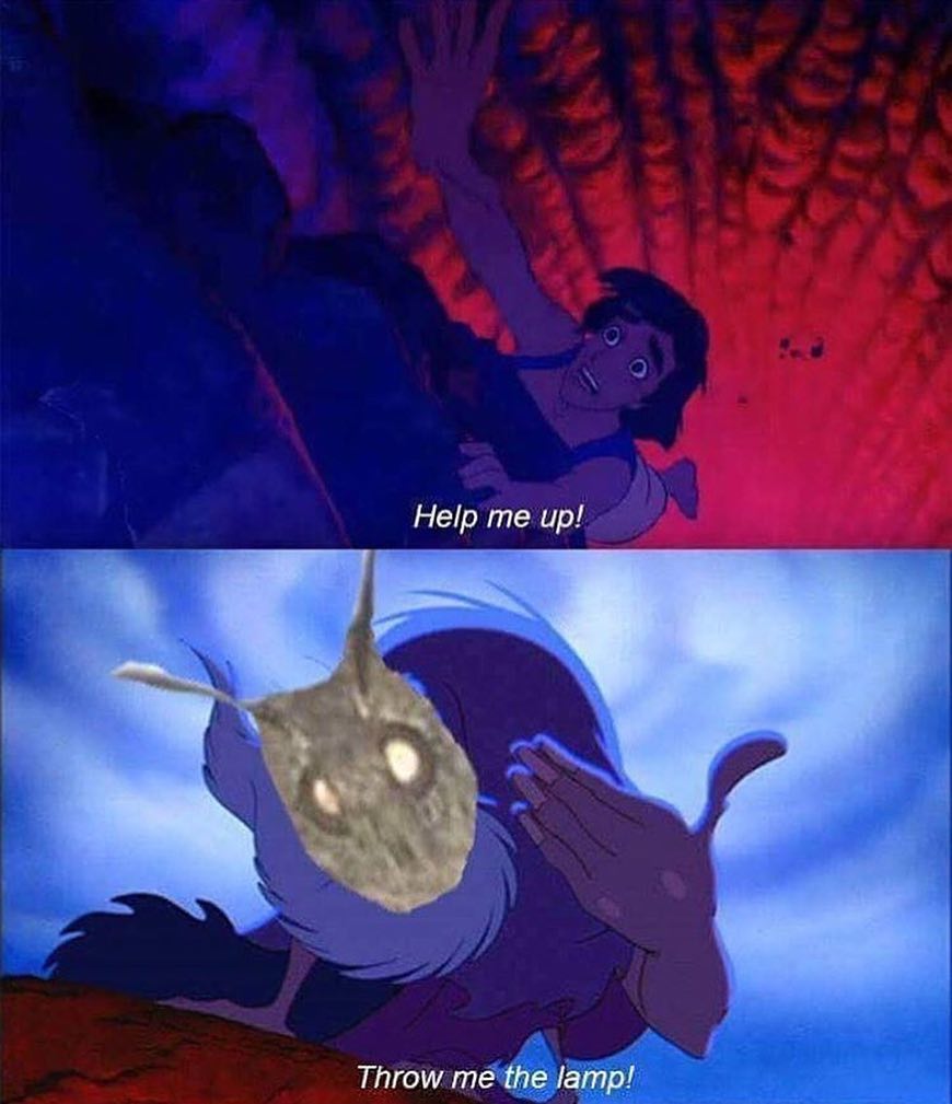 moth meme