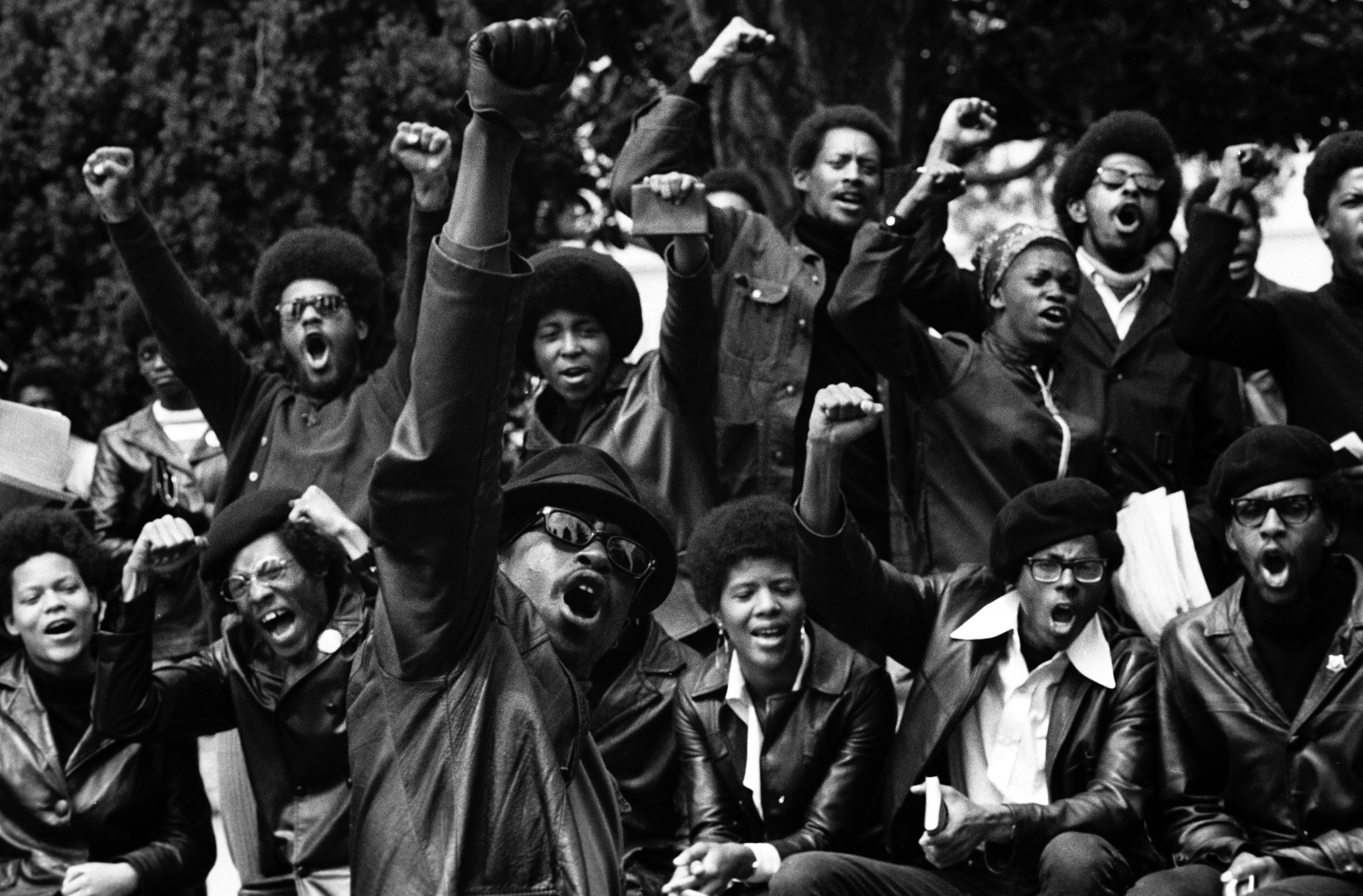 1539189656158-black-panthers-8