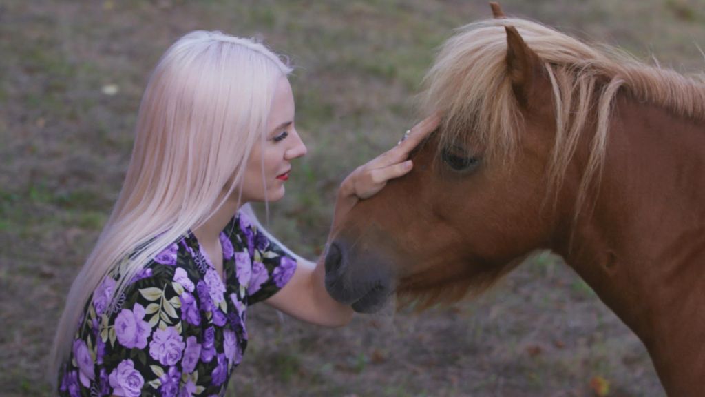 Can We Find Inner Peace through Horse Therapy?